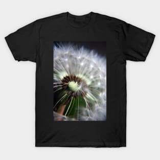 Dandelion Seeds T-Shirt